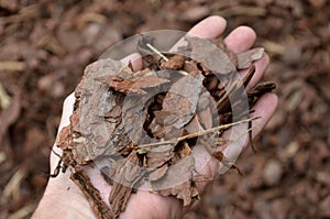 Mulčovací kůra kusů z borovice smrk na plevele rostoucí klíčení zahradník nese na z 