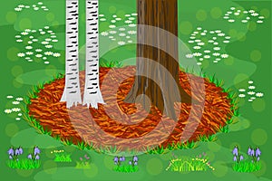 Mulch gardening concept with trees, red mulch and grass.