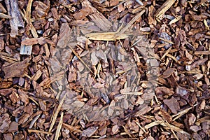 Mulch made of wood bark. Mulching is an agrotechnical way of covering the soil