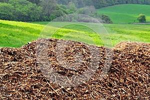 Mulch nature biomass