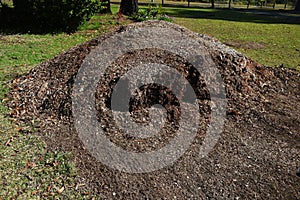 Mulch pile in a garden