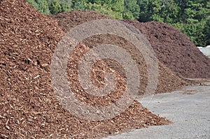 Mulch Piles photo