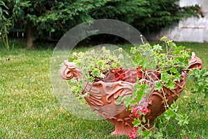 Mulch Red Decorative Bark