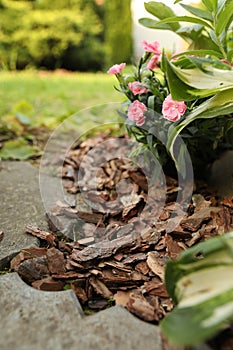 Mulched flowers with bark chips in garden