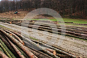 Mulcher deforestation