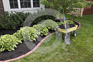 Mulching around the Bushes photo