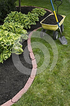 Mulching Around Hostas photo