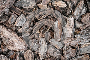 Mulching flowerbed with pine tree bark mulch as background. Heap of dry pine tree bark pieces, decorative soil for