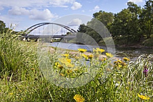 Mulde river in summer in Saxony-Anhalt