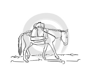 Mule is carrying load on his back, Vector sketch, Hand drawn illustration