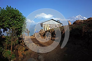 Mule and new built house after earthquake next to trail on lower part of Everest trek