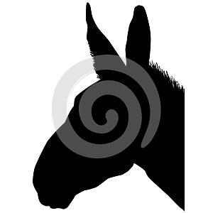 Mule vector eps illustration by crafteroks