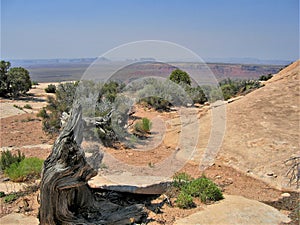 Muley Point