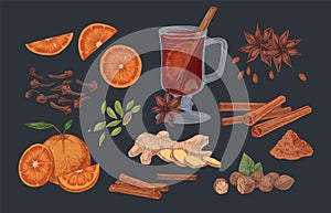 Mulled wine and spices hand drawn vector illustrations set. Flavoring seeds and herbs realistic color isolated cliparts