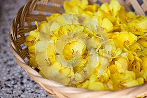 Mullein flowers in a basket