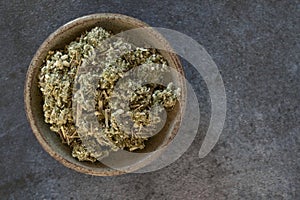 Mullein Leaf in a Bowl