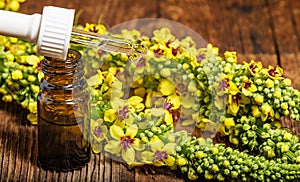 Mullein - verbascum extract