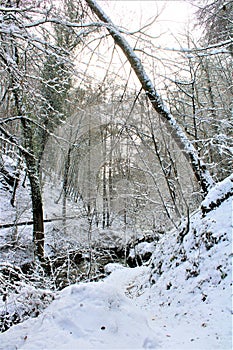 Mullerthal, Luxembourg - January 2024, winter - A small river in the forest under snow