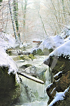 Mullerthal, Luxembourg - January 2024 - A small river with ice in the forest under snow