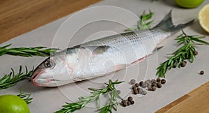 Mullet fish with marinade. Preparation the raw fresh fish for frying