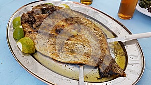 Mullet - open roasted fish lemon dish photo