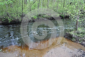 Mullica River