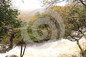 Mullinhassig Waterfall - surrounded by trees - County Cork - Ireland tourism - Nature travel