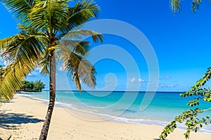 Mullins Beach - tropical beach on the Caribbean island of Barbados. It is a paradise destination with a white sand beach and