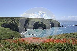 Mullion cove photo