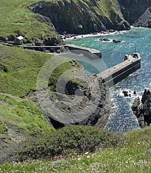 Mullion Cove harbor