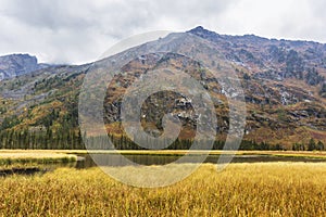 Multa river valley, Altai mountains autumn landscape