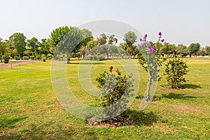 Multan Shah Shams Park 11 photo