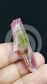Multi bi color mineral Tourmaline crystal specim