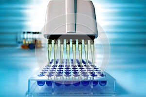 Multi channel pipette loading biological samples in microplate f