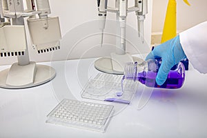 Multi channel pipette loading biological samples in microplate for test in the laboratory / Multichannel pipette load samples in