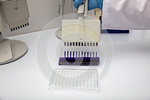 Multi channel pipette loading biological samples in microplate for test in the laboratory / Multichannel pipette load samples in