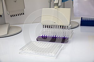 Multi channel pipette loading biological samples in microplate for test in the laboratory / Multichannel pipette load samples in