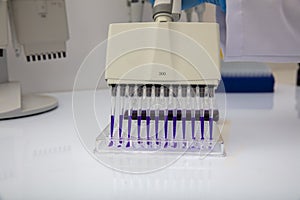 Multi channel pipette loading biological samples in microplate for test in the laboratory / Multichannel pipette load samples in