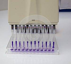 Multi channel pipette loading biological samples in microplate for test in the laboratory / Multichannel pipette load samples in