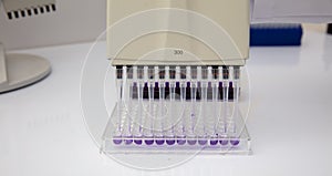 Multi channel pipette loading biological samples in microplate for test in the laboratory / Multichannel pipette load samples in