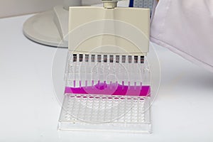 Multi channel pipette loading biological samples in microplate for test in the laboratory / Multichannel pipette load samples in