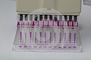 Multi channel pipette loading biological samples in microplate for test in the laboratory / Multichannel pipette load samples in