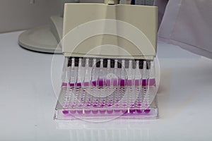 Multi channel pipette loading biological samples in microplate for test in the laboratory / Multichannel pipette load samples in