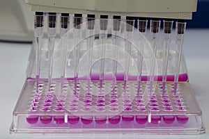 Multi channel pipette loading biological samples in microplate for test in the laboratory / Multichannel pipette load samples in