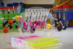 Multi channel pipette withdrawing pink color solution with tips for clinical research with model compounds in background