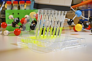 Multi channel pipette withdrawing yellow compound solution with tips for biomedical research with model compounds in background