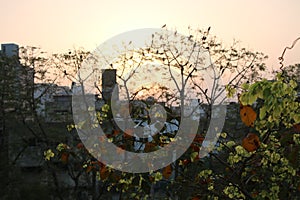 Multi-Cloud and Community Cloud