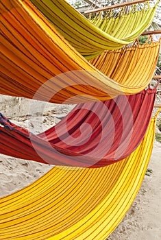 Multi-color hammocks photo