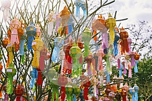 The multi-color of Lanna prayer lanterns decoration on a tree in ceremonies at a Buddhist temple.