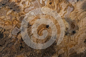 Multi colored Agate sample